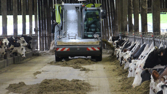 Avis sur la Storti Dobermann SW EVO2