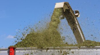 Romuald Pascal : « l&rsquo;herbe en quantité et qualité… mais le prix du GNR »