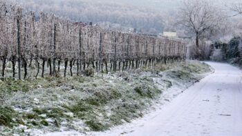 Gel, vigilance jusque mi-avril