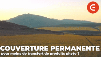 Est-ce qu&rsquo;une couverture permanente limite les risques de transfert de produits phyto ?