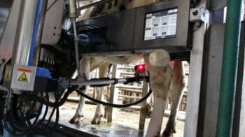 Traite robotisée : les 3 meilleures façons d&rsquo;économiser de l&rsquo;énergie