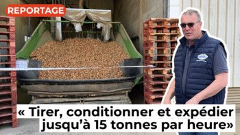 Didier : « On peut tirer, conditionner et expédier jusqu’à 15 tonnes d’oignons par heure »