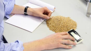 El Nino va t-il inverser la tendance des cours des céréales pour 2026 ?