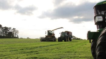 Herbe : Un temps propice pour reprendre de l’avance et du stock