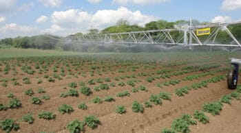 Cinq idées reçues sur la gestion de l&rsquo;eau en agriculture et l&rsquo;irrigation