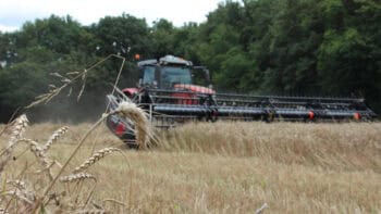 L’organisation coopérative du travail tire profit du numérique