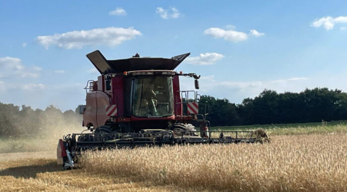 [Moissons 2026] En Occitanie : « plutôt une bonne surprise »