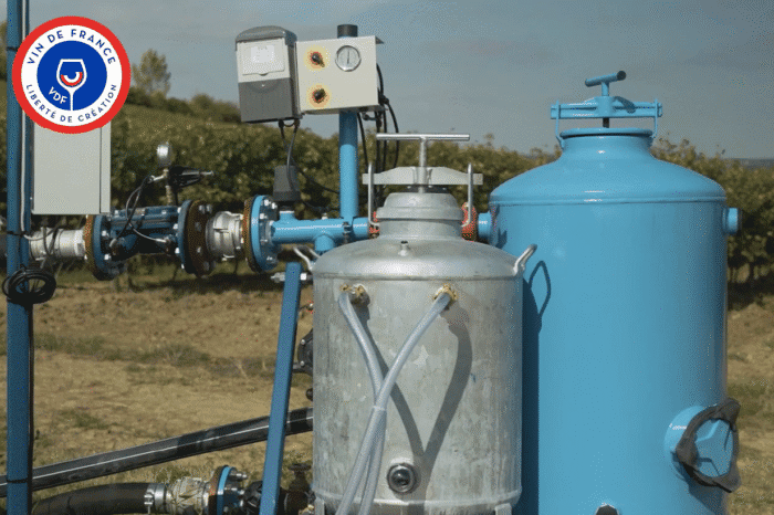 irrigation vigne