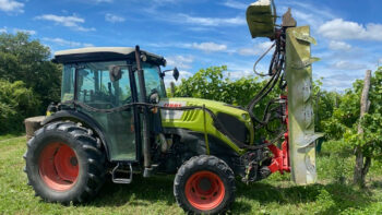 La vigne entre deux feux : que faire ?