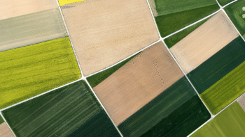 Malgré les départs en retraite, pas de « vague » de foncier agricole à l&rsquo;horizon