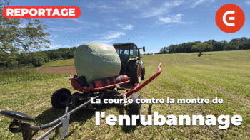 La course contre la montre de l&rsquo;enrubannage dans le Périgord