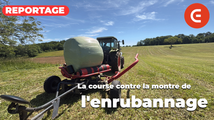 La course contre la montre de l&rsquo;enrubannage dans le Périgord