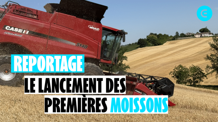 [Moisson 2026]Laurent Forest : « Un rendement un peu inférieur »