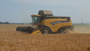 [Moisson 2026] Dans le Nord-Est, le grain ne murît pas, il crame