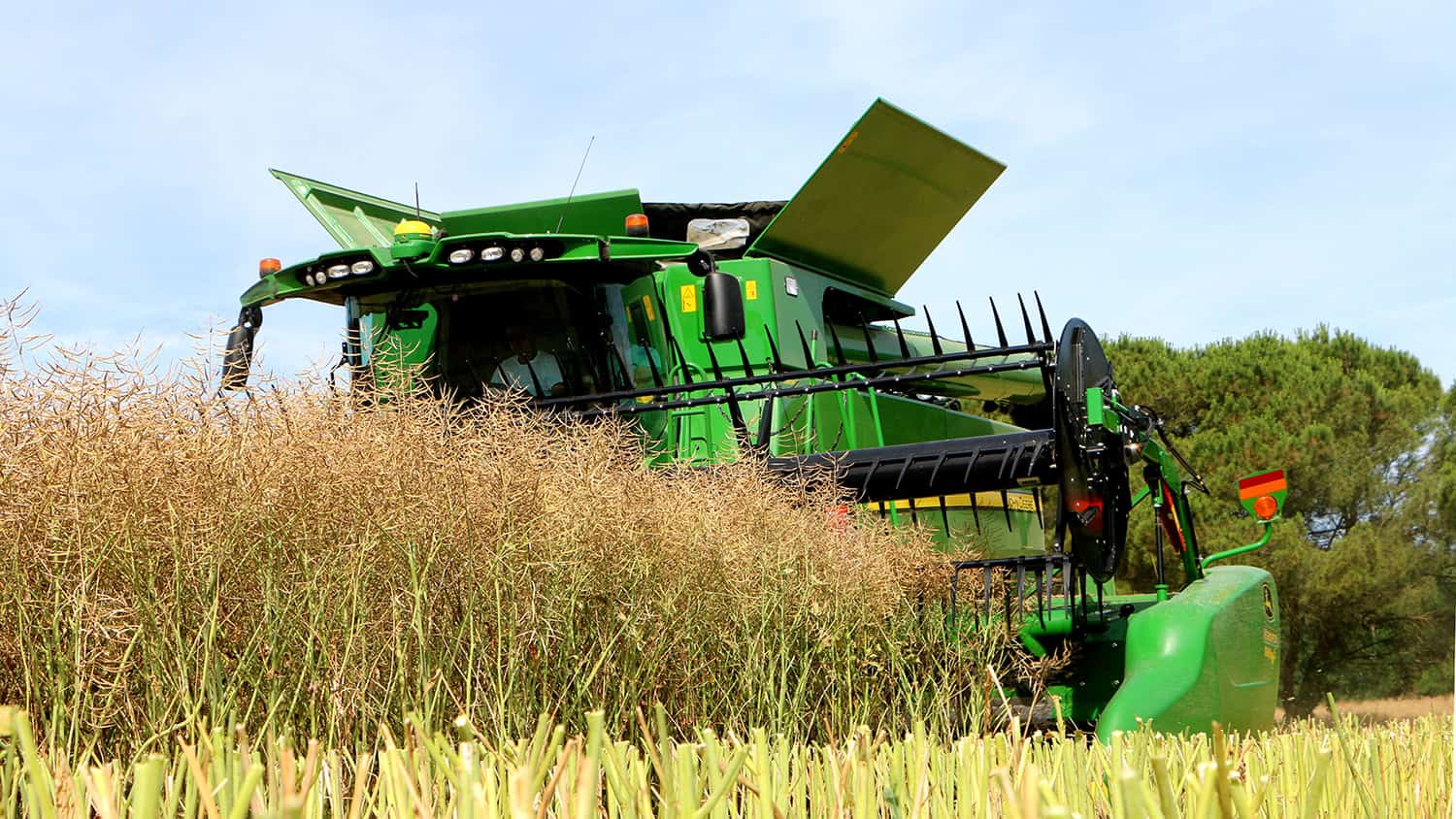 Moisson 2026 : des récoltes précoces historiques dès la fin mai