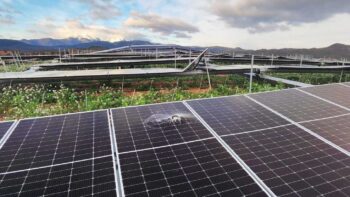 Agrivoltaïsme et aléas climatiques, comment ça fonctionne ?