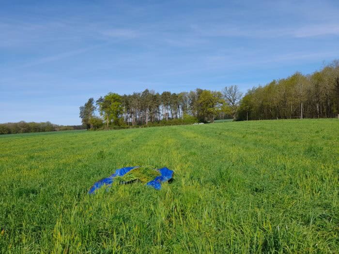essai prairie légumineuse