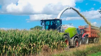 Plus d&rsquo;une ensileuse sur deux en cuma : la mutualisation des matériels boostée par la hausse des prix