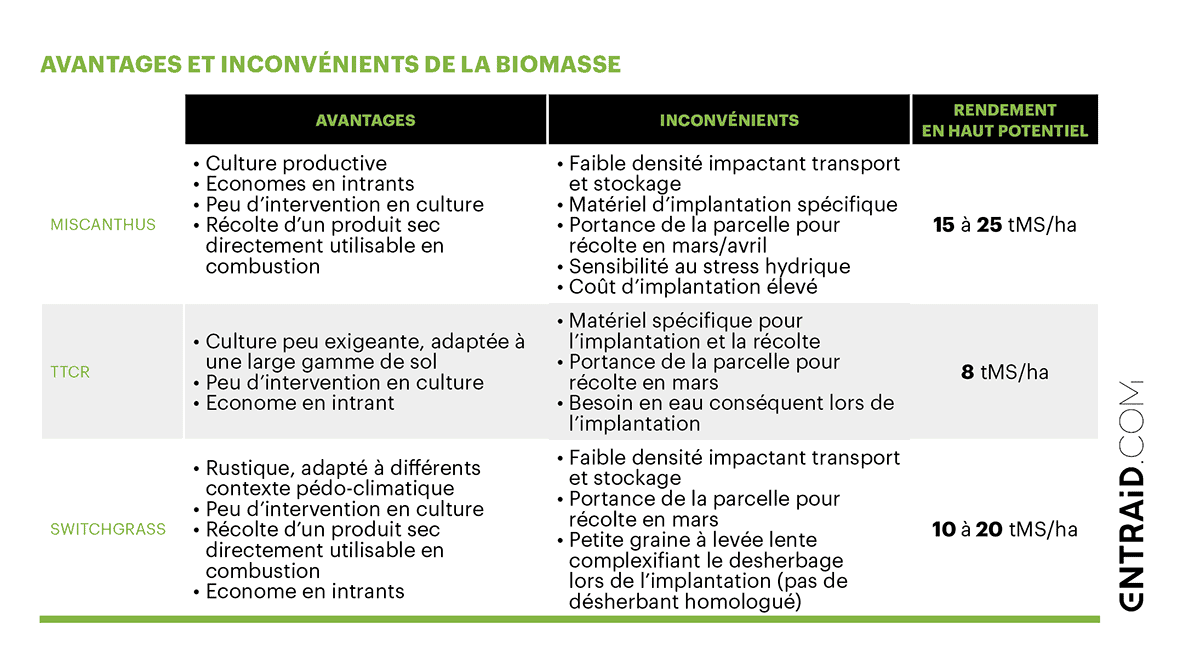biomasse miscanthus switchgrass