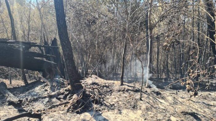 mobilisation agriculteurs incendie gironde