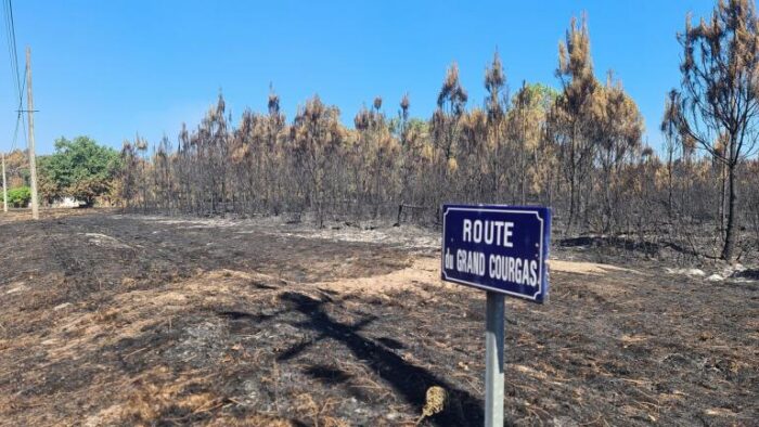 feu de forêt en Gironde 2026