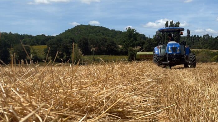 fin de moisson stervio