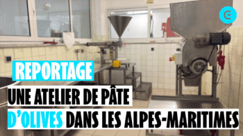 « Chaque adhérent fait son mélange de pâte et d’huile d’olive »