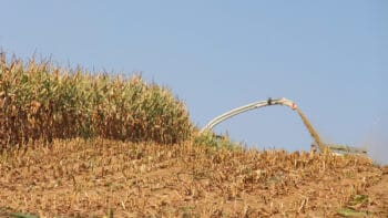 [Ensilages 2026] Lancements imminents