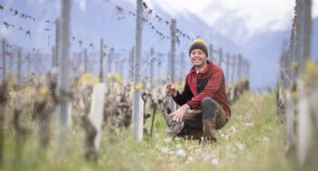 En Suisse aussi, on arrache des vignes