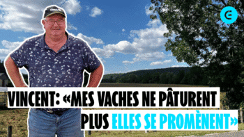 Vincent : « Mes vaches ne pâturent plus, elles se promènent »