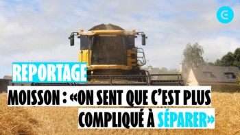 La moisson valorise la culture des adhérents