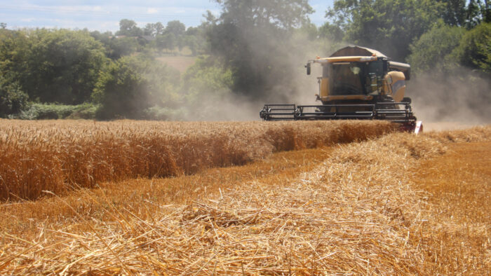 Prestation de moisson