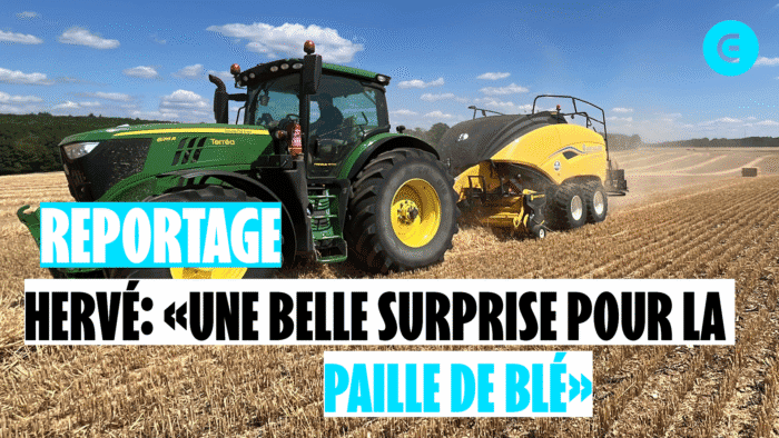 Hervé : « Une belle surprise pour la paille de blé »
