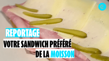 Quel est le meilleur sandwich de la moisson ?