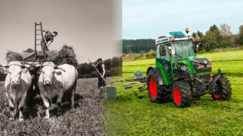Traction animale, tracteurs électriques: d&rsquo;étranges similitudes!