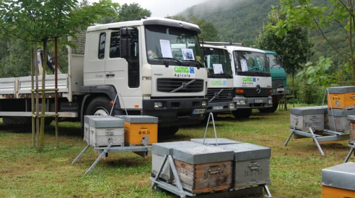 transhumance des abeilles en cuma apicole