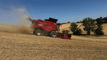 Moisson 2026, une qualité des grains au dépend de la quantité