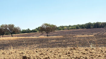 [Incendies 2026] Les cuma du Maine-et-Loire en soutien de leurs territoires