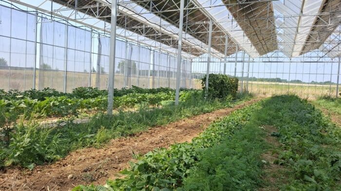 serre bioclimatique photovoltaïque