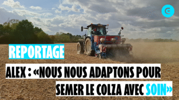 Alex « Nous nous adaptons pour semer le colza avec soin »