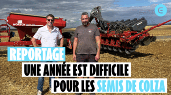 « L&rsquo;année est difficile pour les semis de colza avec une sécheresse très prononcée »