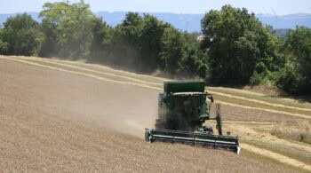 Difficultés et arrêts d&rsquo;activités agricoles : « le gros de la vague n&rsquo;est pas encore arrivé »