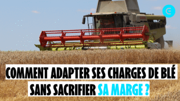 Comment adapter ses charges de blé tendre sans sacrifier sa marge ?
