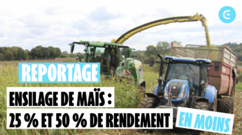 [Ensilages 2026] Au moins, les conditions de chantier sont favorables