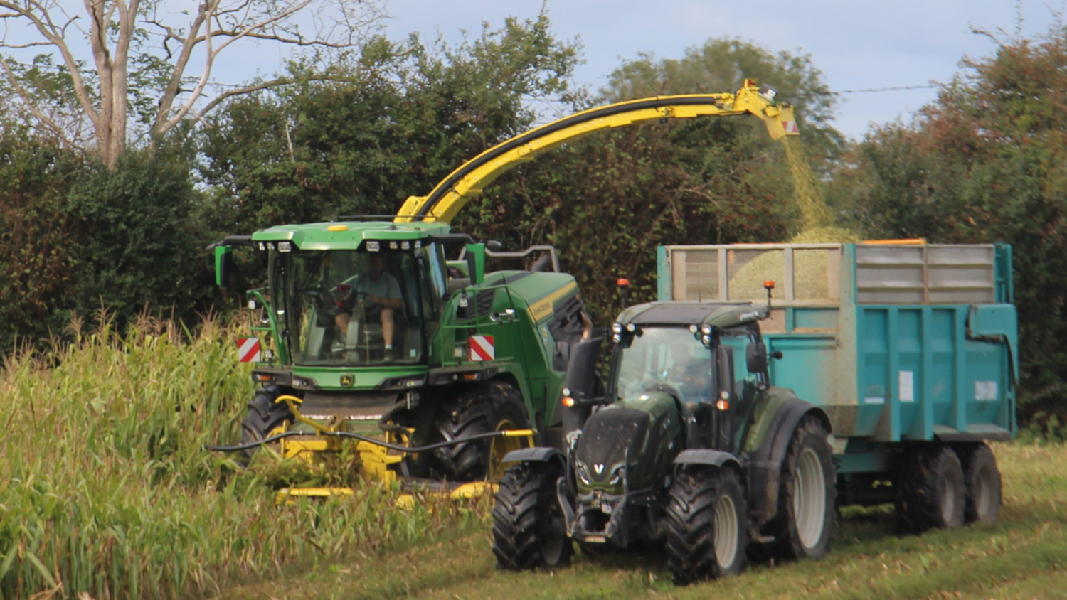 Chantier d'ensilage du maïs