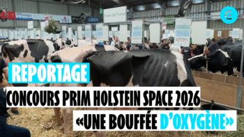 [SPACE 2026] Concours Prim Holstein : « si ce n’est pas de la passion, je ne sais pas ce que c’est »