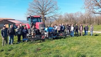 Détruire les rumex avec 90 % d’herbicide en moins