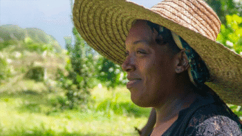 Agrotourisme en Martinique : le parcours inspirant d&rsquo;Anaïs Chardon Janvier au Morne-Rouge