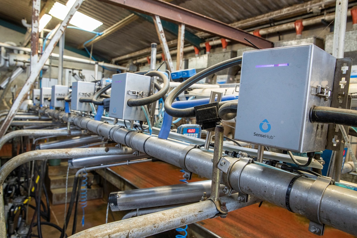 MSD Tiergesundheit médailles EuroTier 2026
