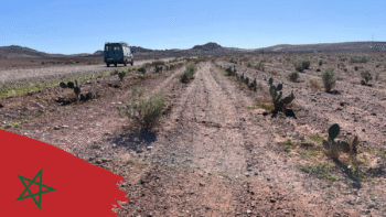 Irrigation et agriculture au Maroc : face au stress hydrique, quelles solutions ?